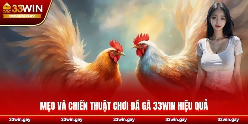 Mẹo và chiến thuật chơi đá gà 33WIN hiệu quả